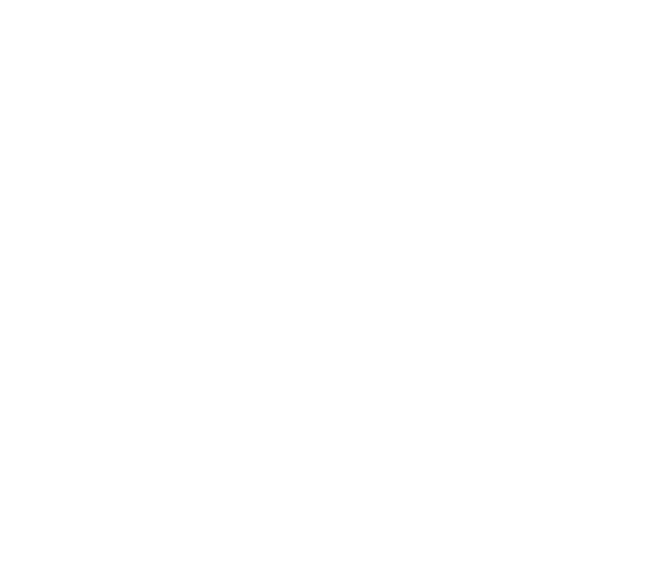 AvAm Global Med logo